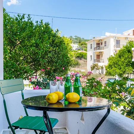 Guest house Casa Verde Summer *