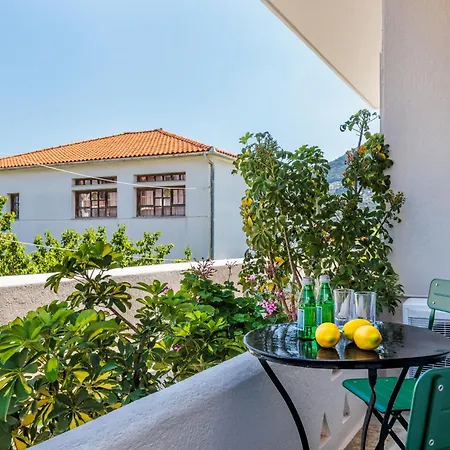 Casa Verde Summer Guest house